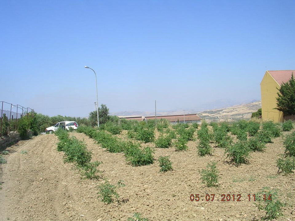 Tomt i Cianciana, Agrigento - bilde 1
